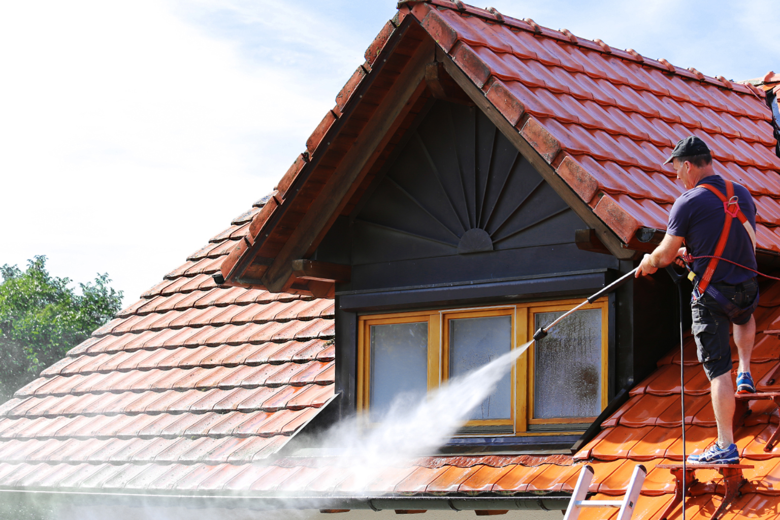 roof cleaning near me
