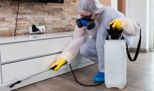 Pest Control SEO services